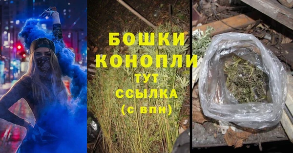 прущие грибы Белоозёрский