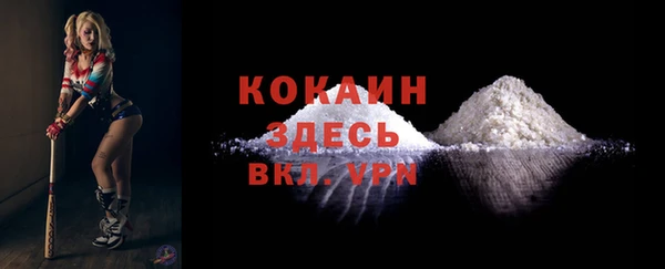 прущие грибы Белоозёрский