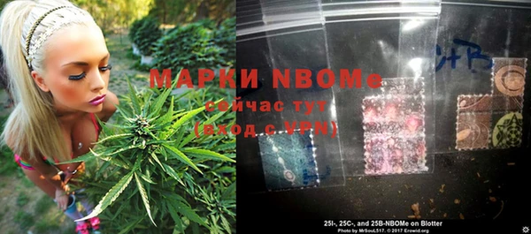 гидропоника Белокуриха