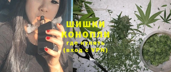 прущие грибы Белоозёрский