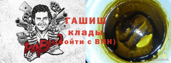 прущие грибы Белоозёрский