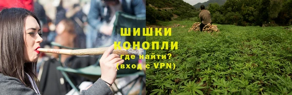 гидропоника Белокуриха