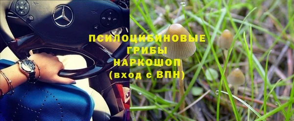 гидропоника Белокуриха