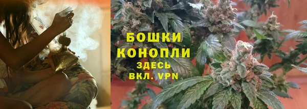 гидропоника Белокуриха