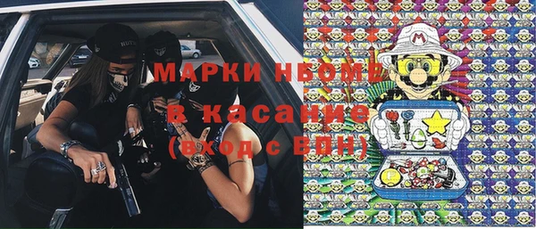 прущие грибы Белоозёрский